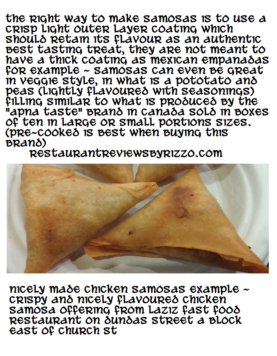 samosa style